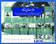 فعالیت های ماندگار